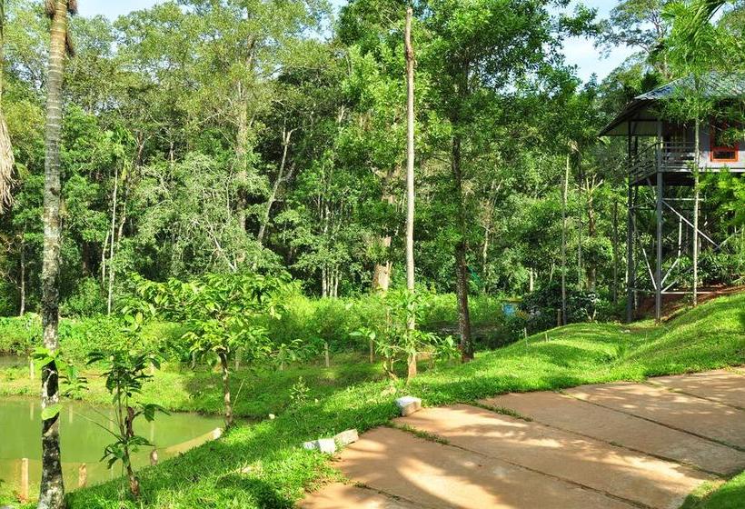 The Woods Resorts Wayanad 6