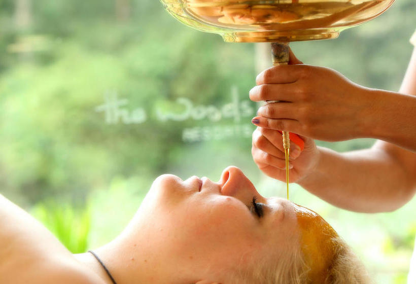 The Woods Resorts Wayanad 7