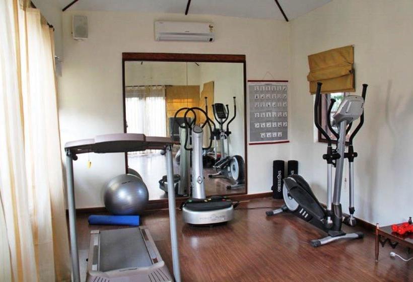 Resort The Homestead 14