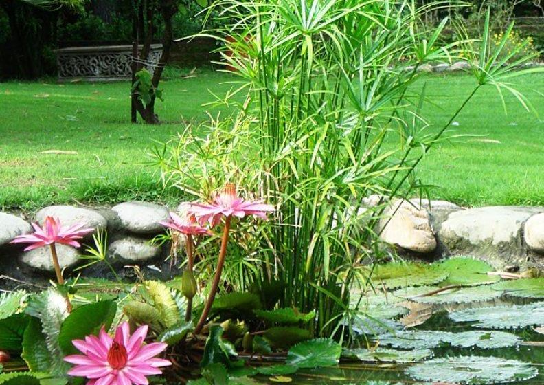 Resort The Homestead 15