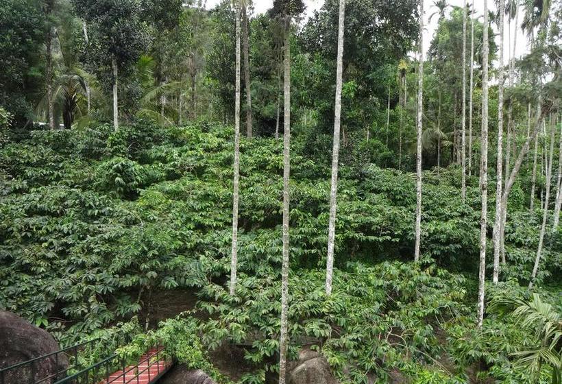 Marmalade Springs Resort Wayanad 9