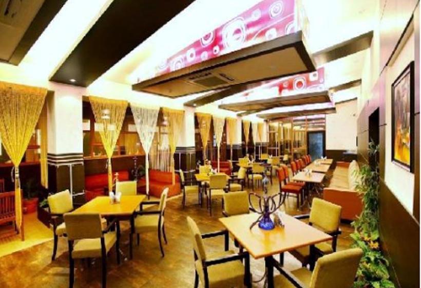 Hotel Brijwasi Royal 14