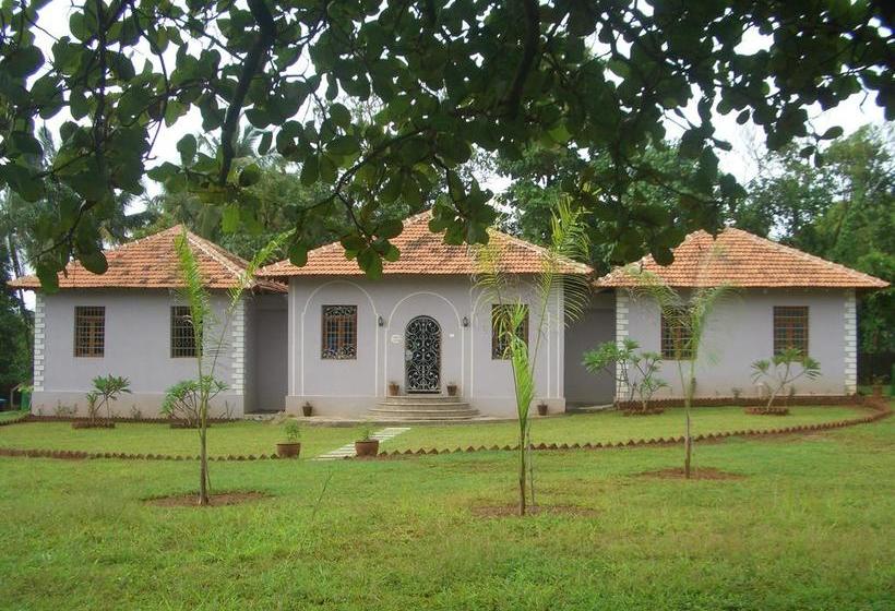 Bed and Breakfast Avalon Inn