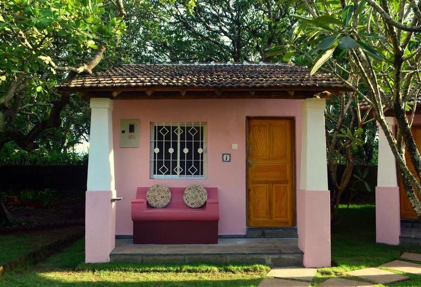 Bed & Breakfast Avalon Inn 10