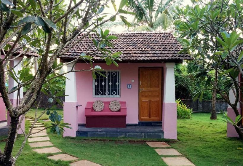 Bed & Breakfast Avalon Inn 12