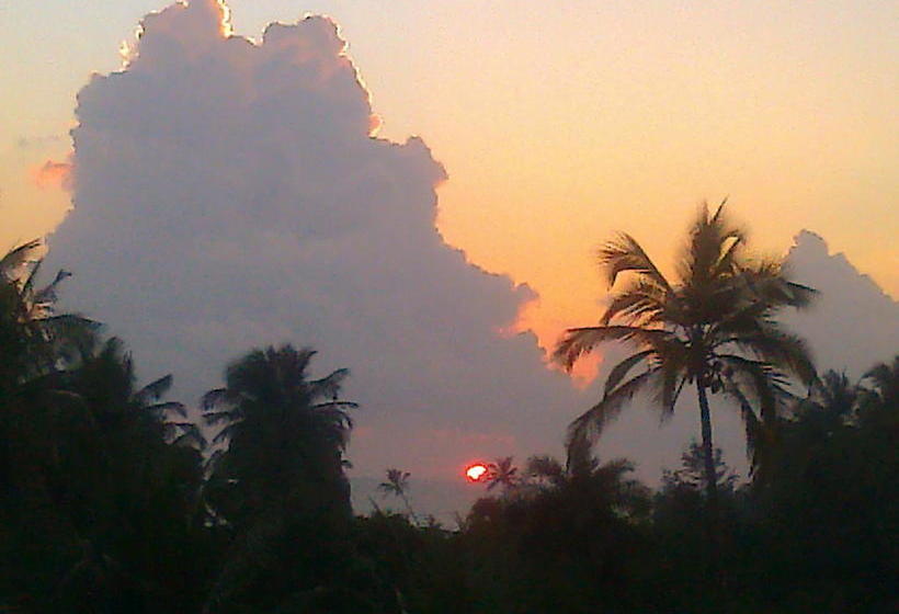 Bed & Breakfast Avalon Inn 18