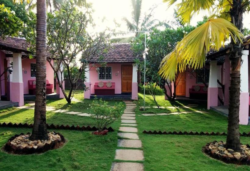 Bed & Breakfast Avalon Inn 3