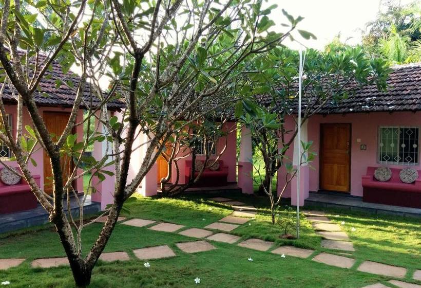 Bed & Breakfast Avalon Inn 9