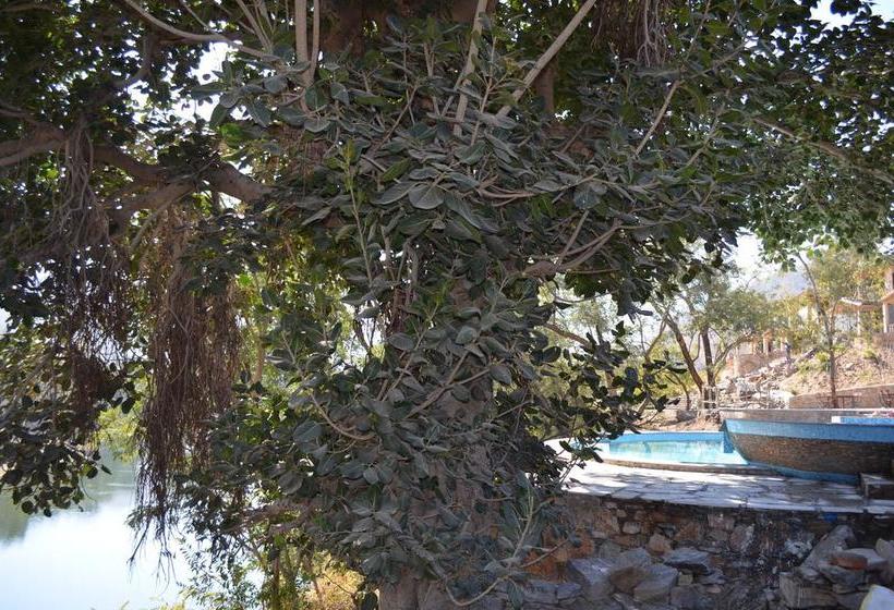 Resort Kumbhalgarh Forest Retreat 2