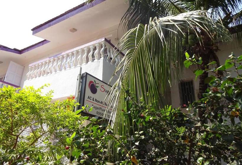 Bed and Breakfast Sugar Plum Macedo Palms Baga Goa