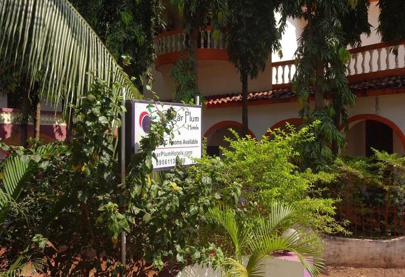 Bed and Breakfast Sugar Plum Macedo Palms 1