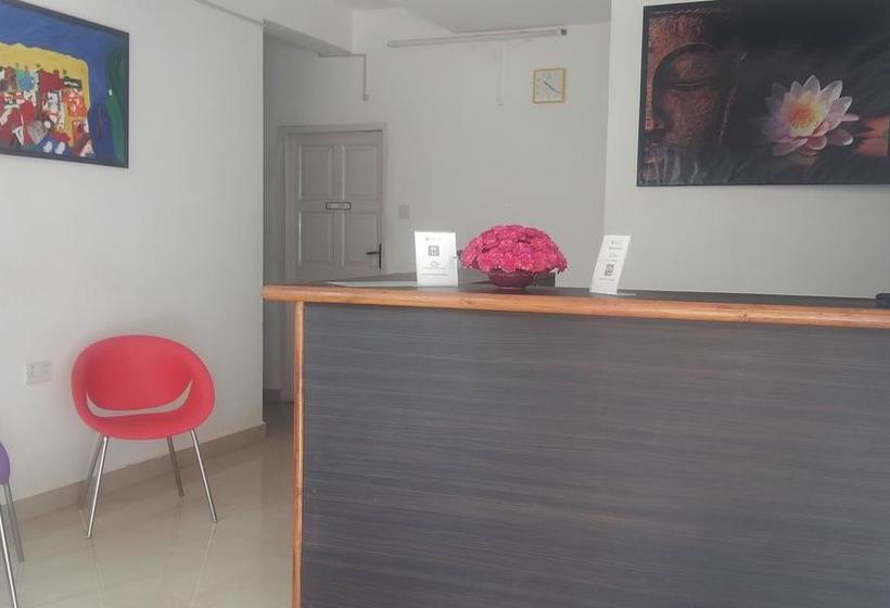 Bed and Breakfast Sugar Plum Macedo Palms 10