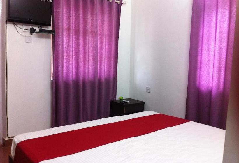 Bed and Breakfast Sugar Plum Macedo Palms 15