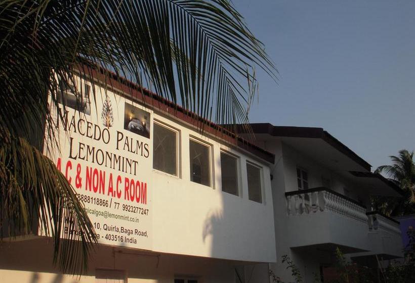 Bed and Breakfast Sugar Plum Macedo Palms 20