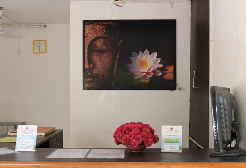 Bed and Breakfast Sugar Plum Macedo Palms 4