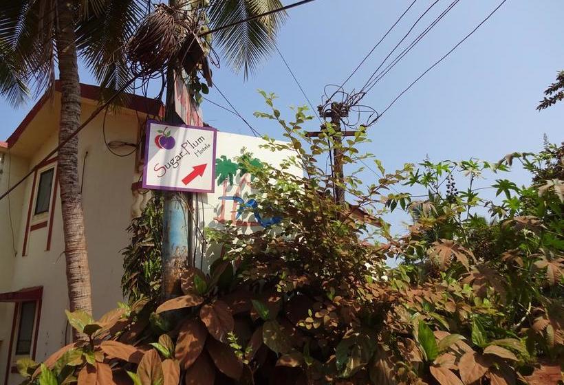 Bed and Breakfast Sugar Plum Macedo Palms 5