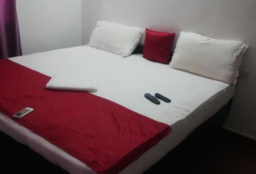 Bed and Breakfast Sugar Plum Macedo Palms 6