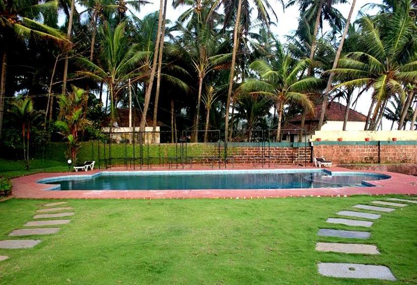 Hotel Mascot Beach Resort 10