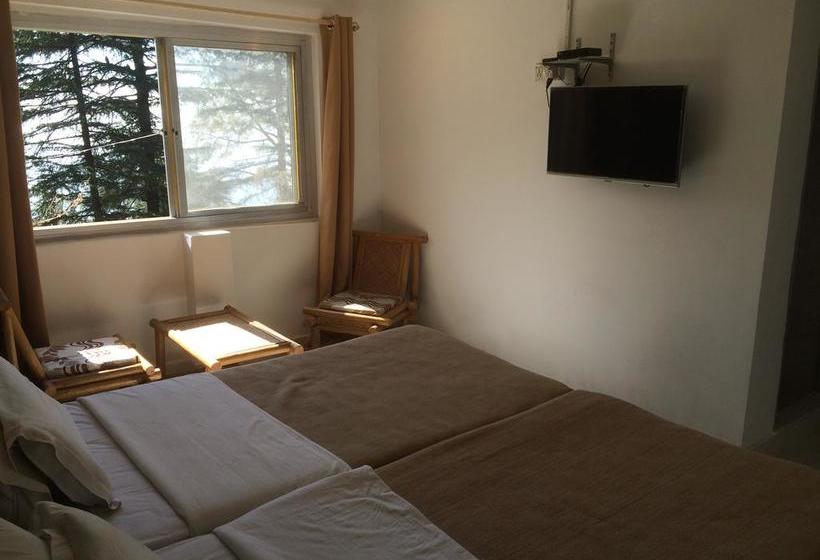 Bed and Breakfast Mcleodganj Homestay 16