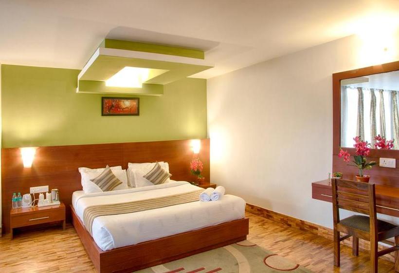 Hotel Viceroy Le Primula 12