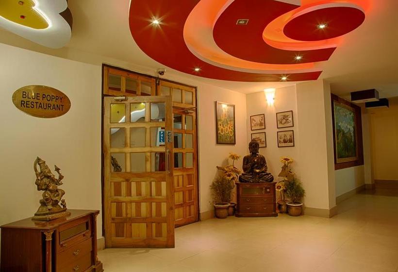 Hotel Viceroy Le Primula 4