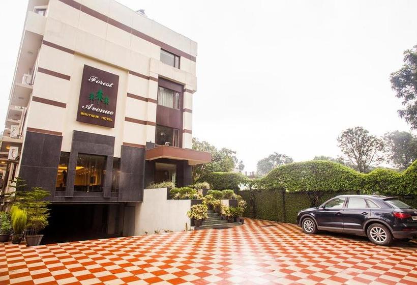 Hotel Forest Avenue 13