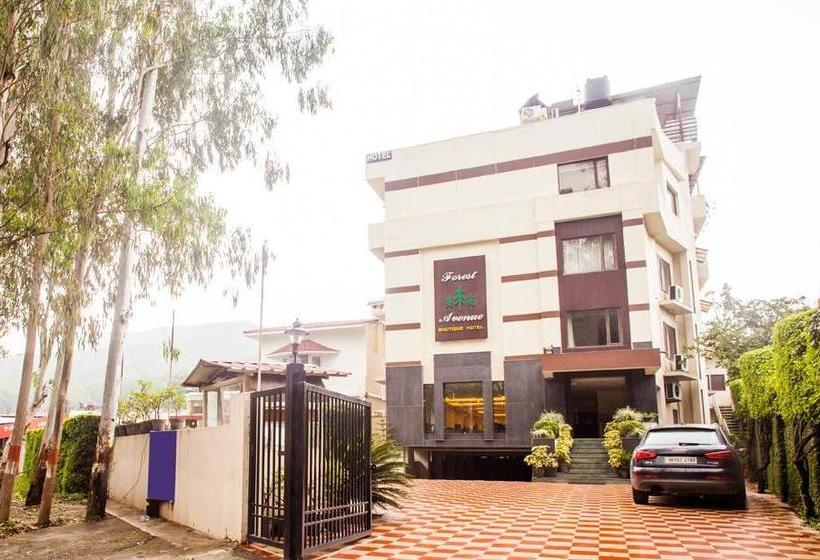 Hotel Forest Avenue 2