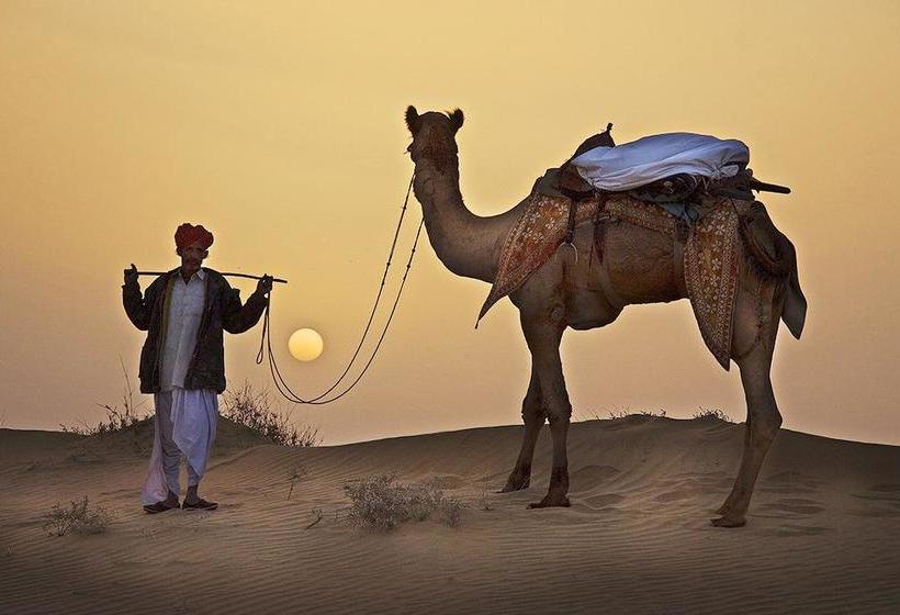 Manvar Desert Resort 19