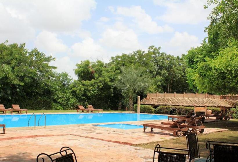 Manvar Desert Resort 7