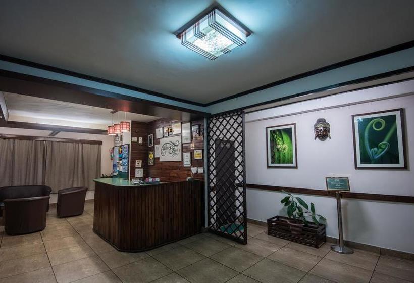 Hotel The Nettle And Fern 2