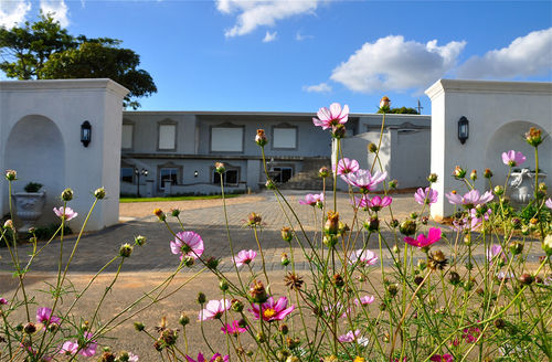 Dieu Donne Boutique Guest House Stellenbosch Stellenbosch