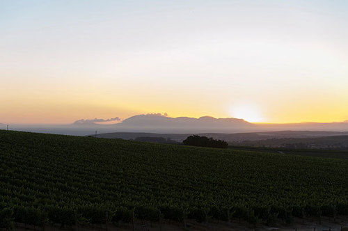 Dieu Donne Boutique Guest House Stellenbosch 17