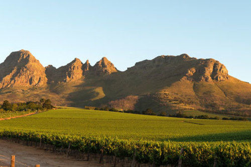 Dieu Donne Boutique Guest House Stellenbosch 9