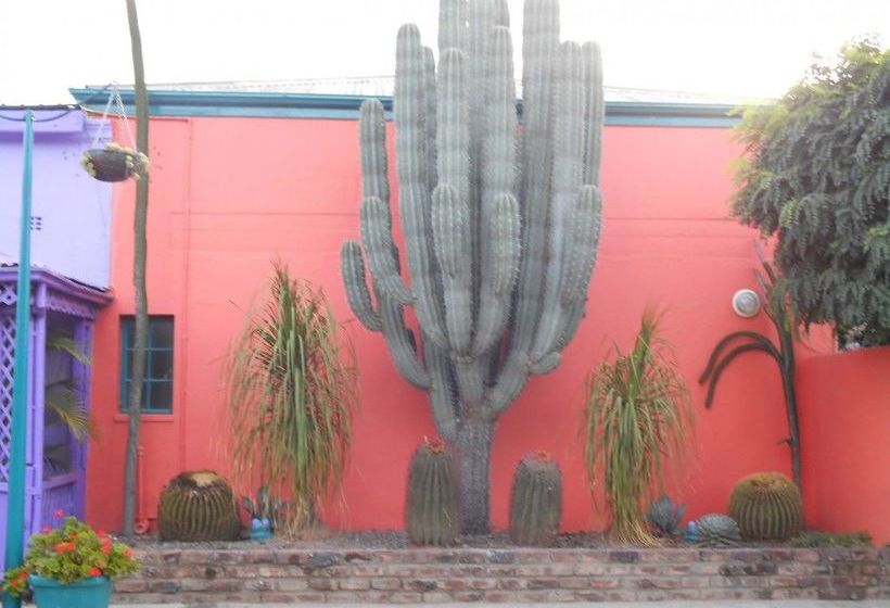 Bed and Breakfast Obesa Lodge 16