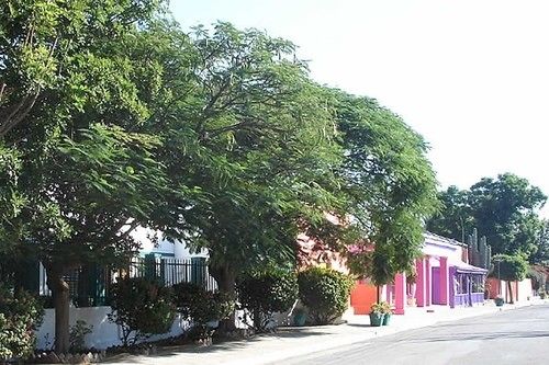 Bed and Breakfast Obesa Lodge 19