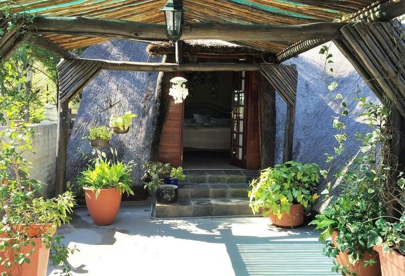 Waterhouse Guest Lodge In Waterkloof 6