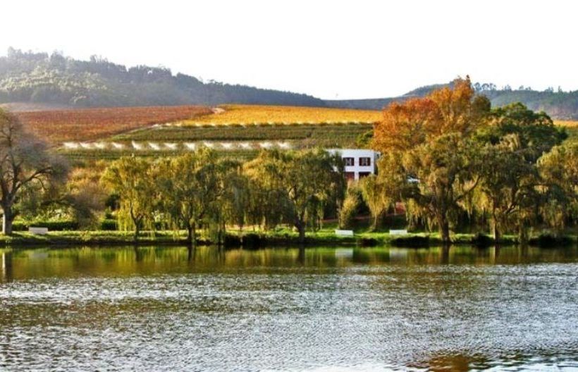 Bed and Breakfast Aan-den-weg Stellenbosch