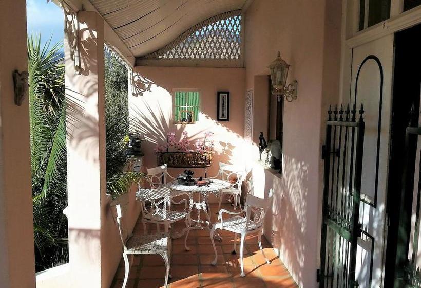 Bed and Breakfast Squirrels Corner 6