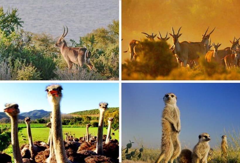 Hotel De Opstal Country Lodge 20