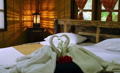 Hotel Jungle Bay Resort 1