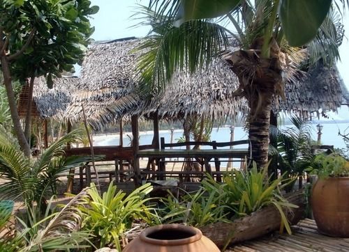 Hotel Jungle Bay Resort 10