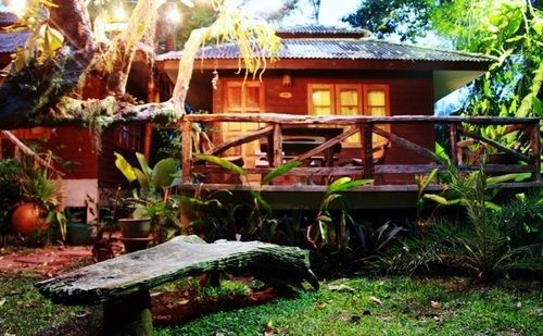 Hotel Jungle Bay Resort 14