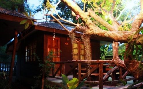 Hotel Jungle Bay Resort 15