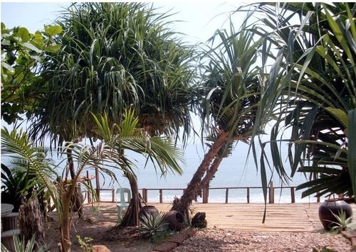 Hotel Jungle Bay Resort 16