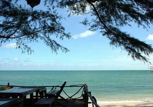 Hotel Jungle Bay Resort 18