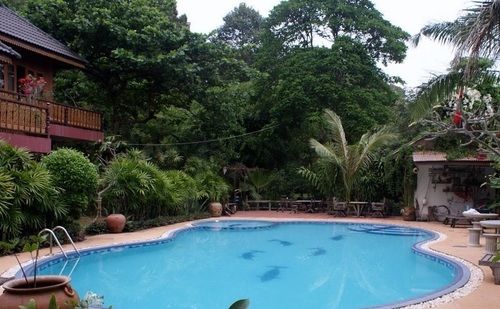 Hotel Jungle Bay Resort 5