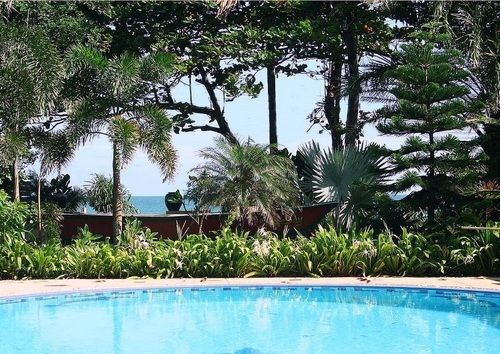 Hotel Jungle Bay Resort 6