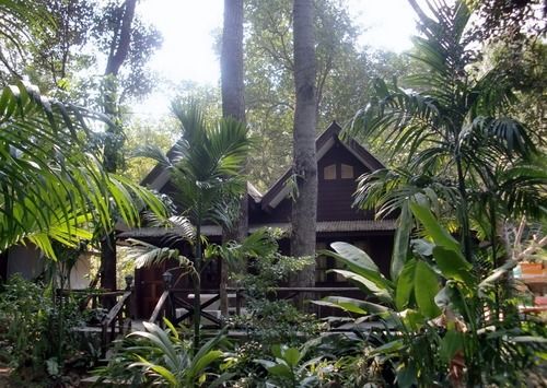 Hotel Jungle Bay Resort 9