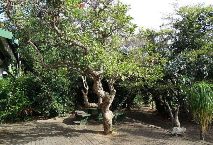 Bed and Breakfast Igwalagwala Guest House 10