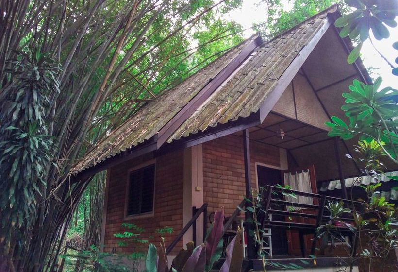 Hotel Misty View Guesthouse 15